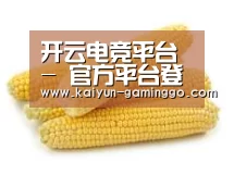产品名称五