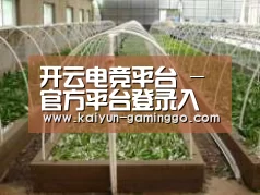 环境展示五