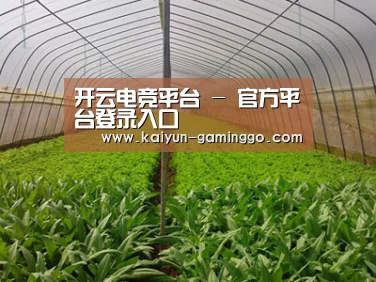 种植基地四