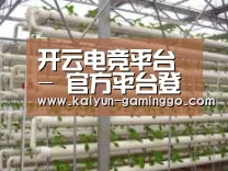 环境展示六