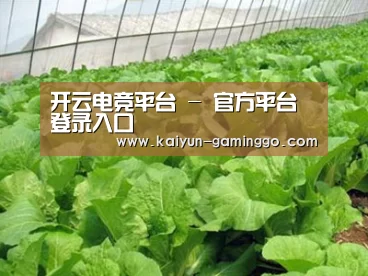 种植基地一