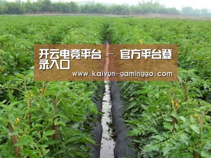 种植基地三