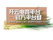 产品名称二