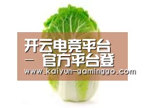产品名称一(图1)