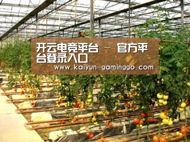 种植基地二(图1)