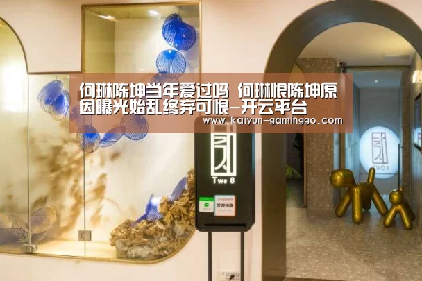 何琳陈坤当年爱过吗 何琳恨陈坤原因曝光始乱终弃可恨-开云平台(图1) 开云官网
