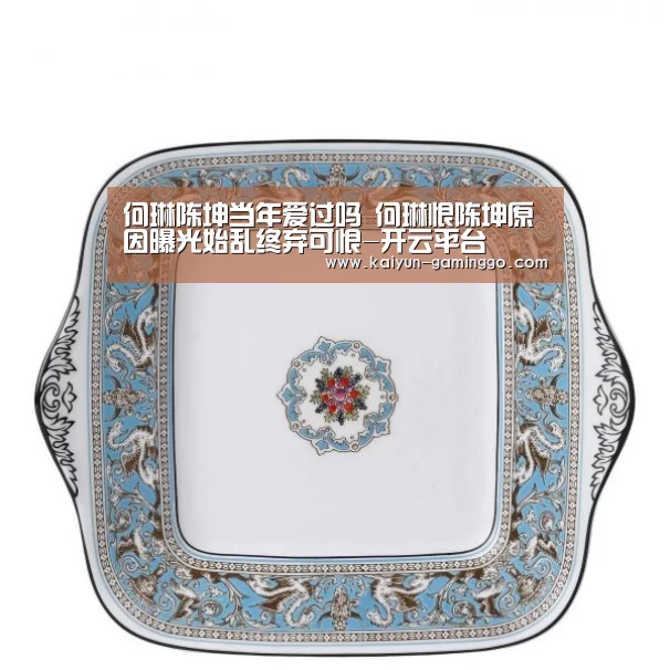 何琳陈坤当年爱过吗 何琳恨陈坤原因曝光始乱终弃可恨-开云平台(图2) 开云平台