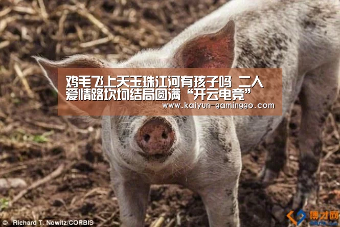 开云入口
