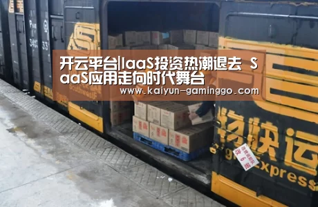 开云平台|IaaS投资热潮退去 SaaS应用走向时代舞台(图2) 开云电竞