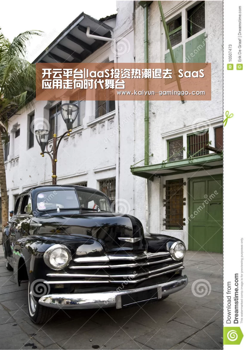 开云平台|IaaS投资热潮退去 SaaS应用走向时代舞台(图4) 开云官网