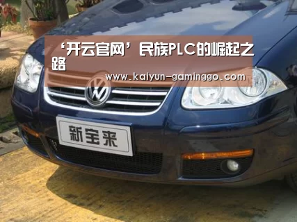 ‘开云官网’民族PLC的崛起之路(图2) 开云入口