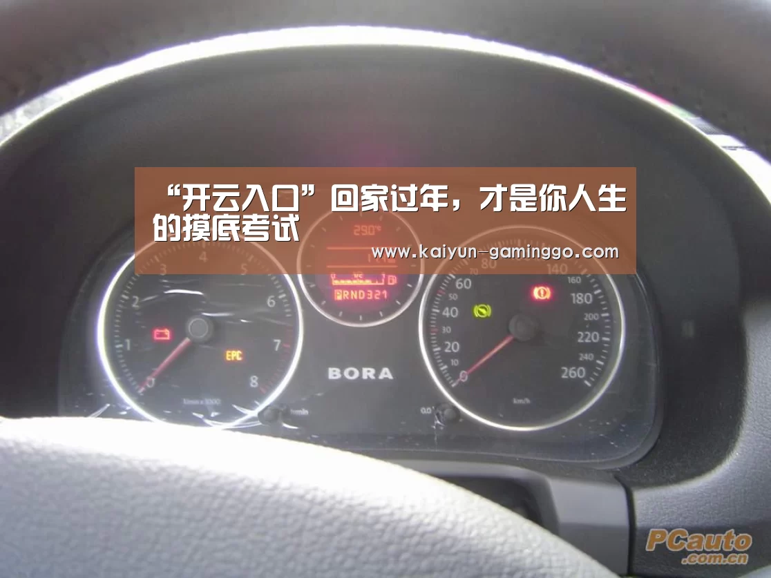 “开云入口”回家过年,才是你人生的摸底考试(图1) 开云官网