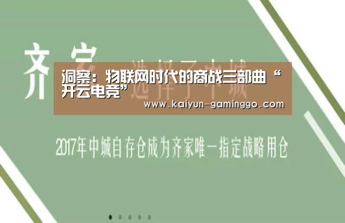 洞察:物联网时代的商战三部曲“开云电竞”(图4) 开云官网