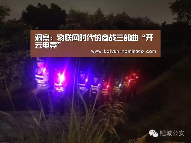 洞察:物联网时代的商战三部曲“开云电竞”(图3) 开云入口