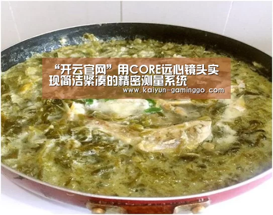 “开云官网”用CORE远心镜头实现简洁紧凑的精密测量系统(图1) 开云电竞